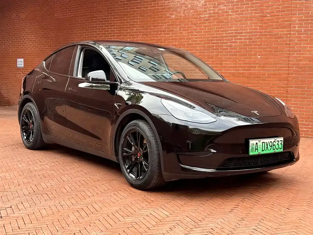 Tesla Model Y — фото 5