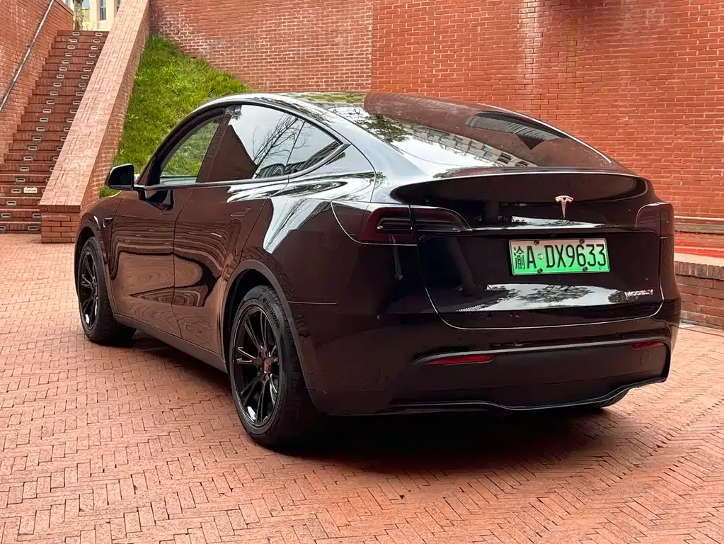 Tesla Model Y — фото 10