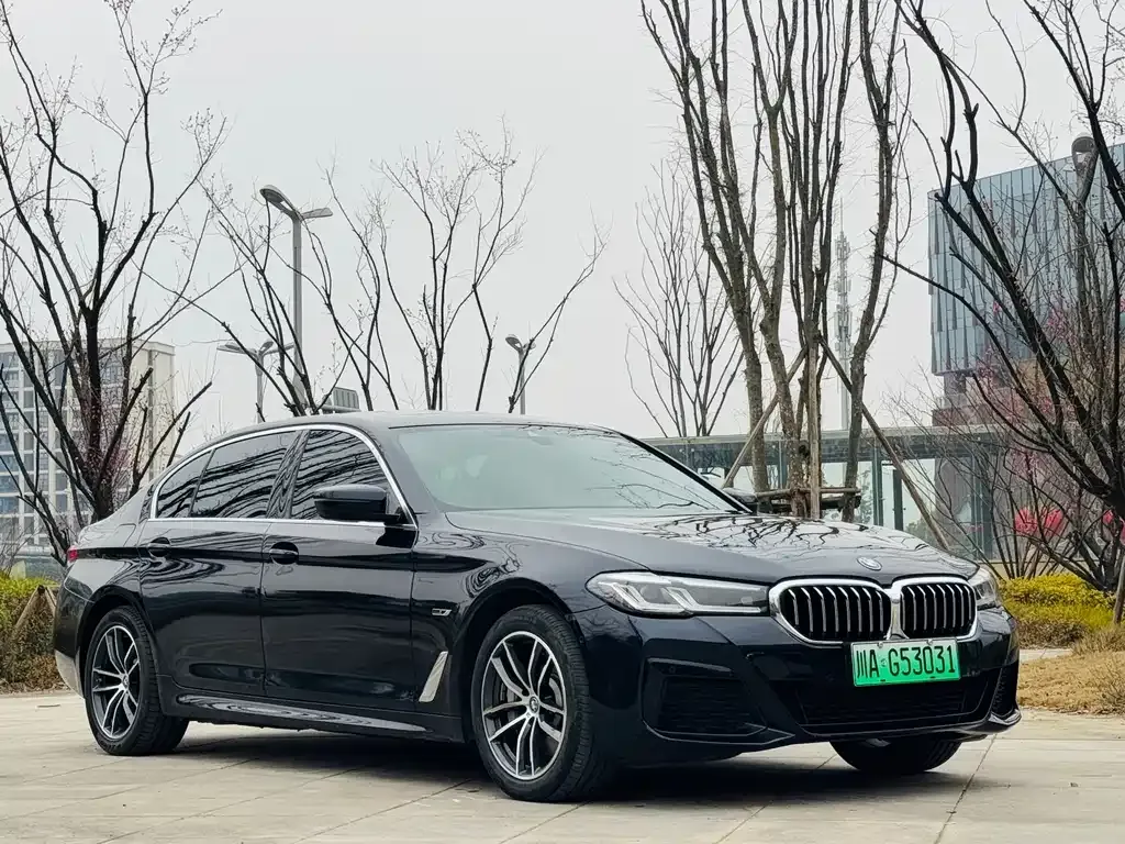 BMW 5 Series New Energy — фото 3