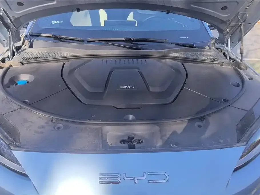 BYD PLUS New Energy 2023 из CN, фото 7