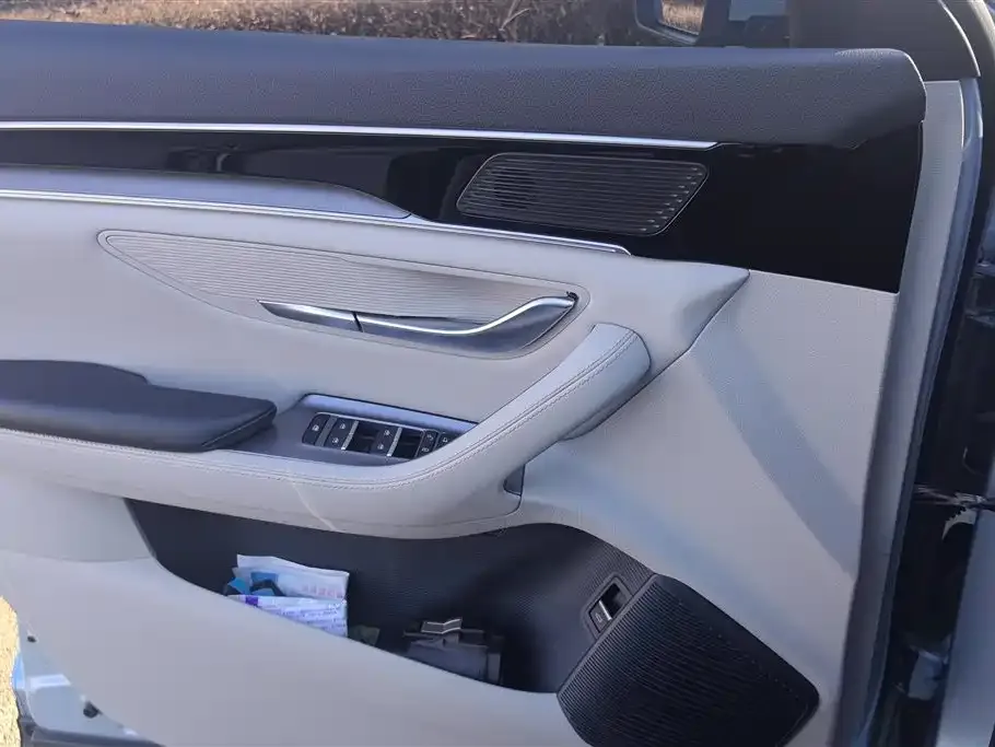 BYD PLUS New Energy 2023 из CN, фото 4
