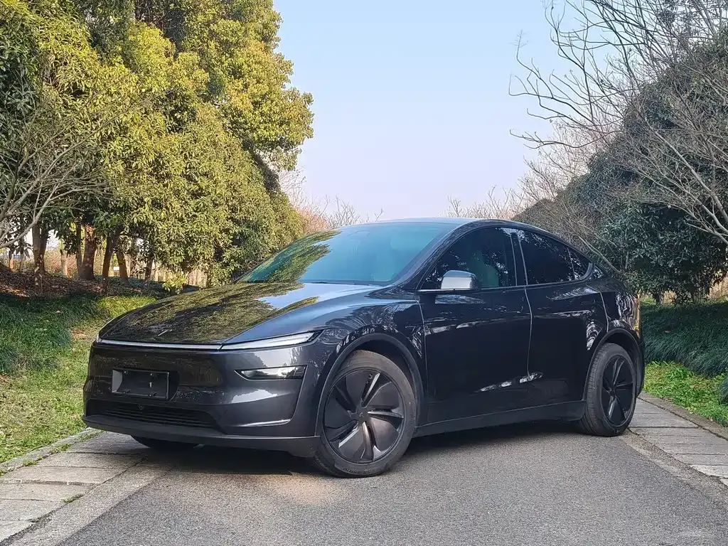 Tesla Model Y 2025 из CN, фото 1