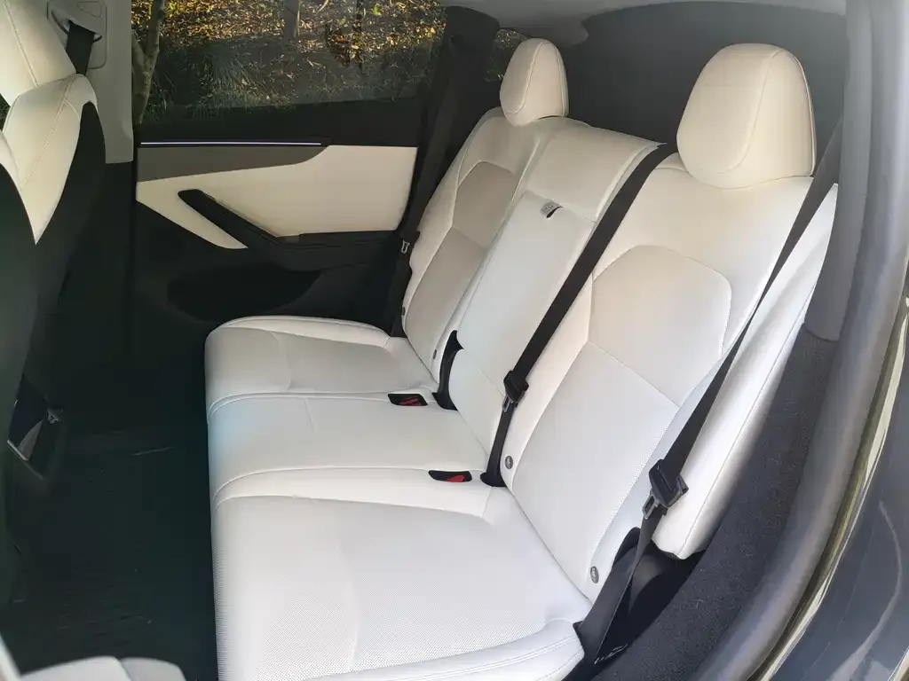 Tesla Model Y 2025 из CN, фото 2