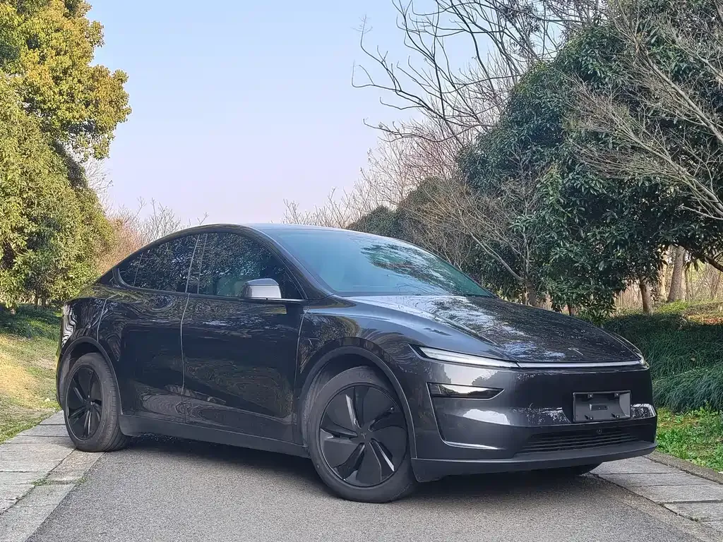 Tesla Model Y 2025 из CN, фото 8