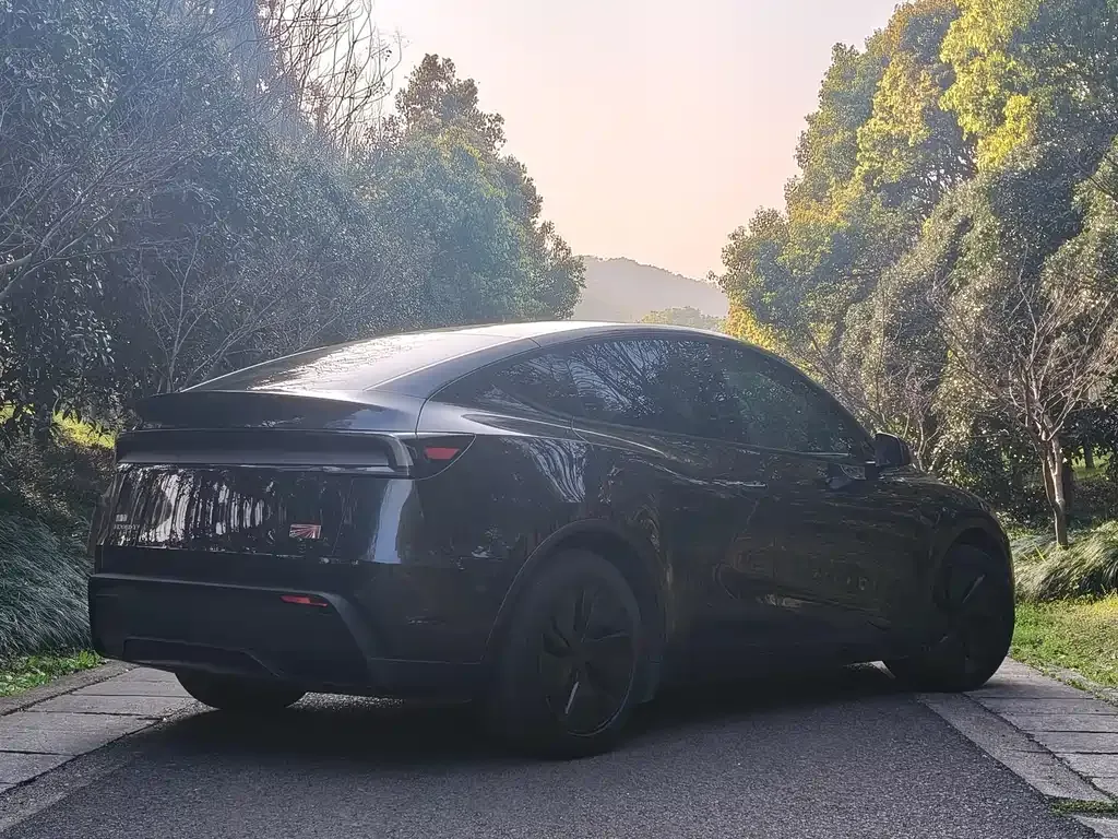Tesla Model Y 2025 из CN, фото 7