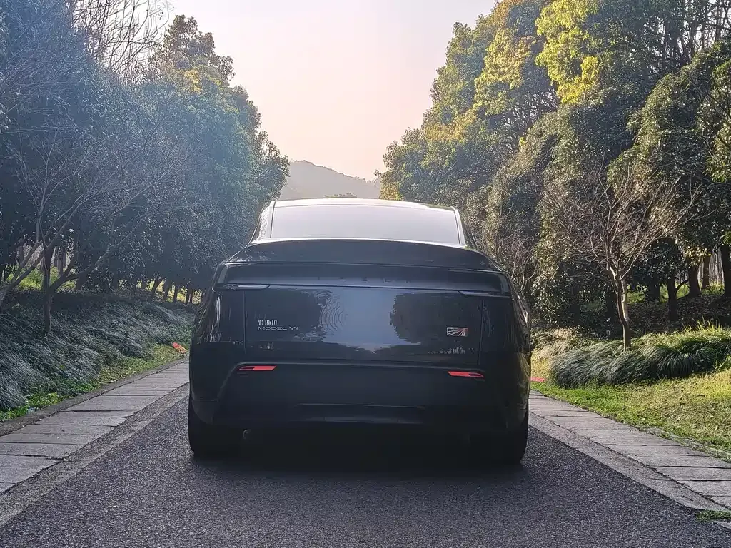 Tesla Model Y 2025 из CN, фото 9