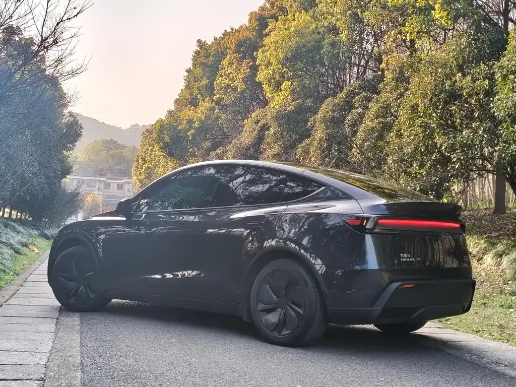 Tesla Model Y 2025 из CN, фото 10