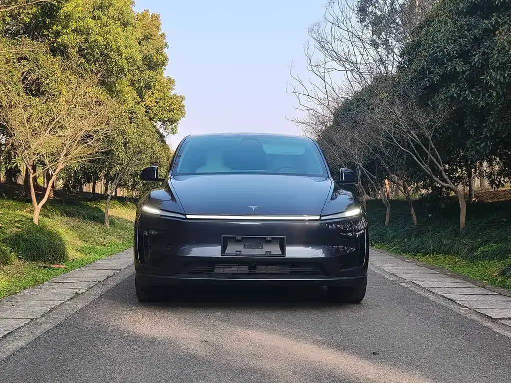 Tesla Model Y 2025 из CN, фото 6