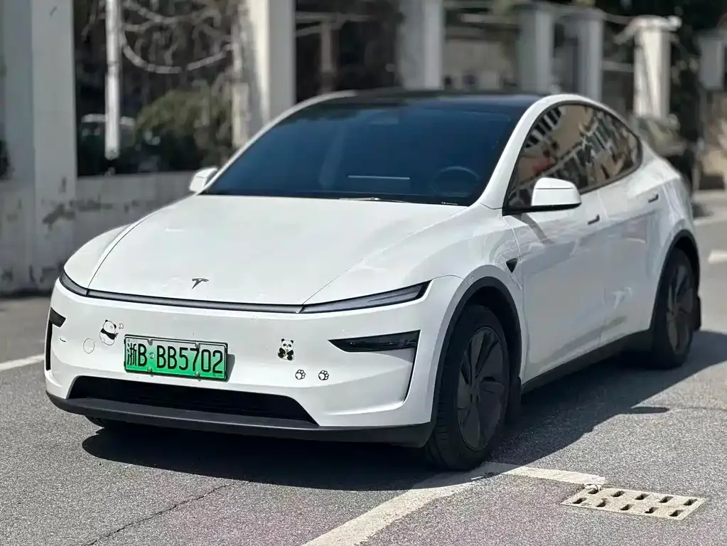 Tesla Model Y — фото 1