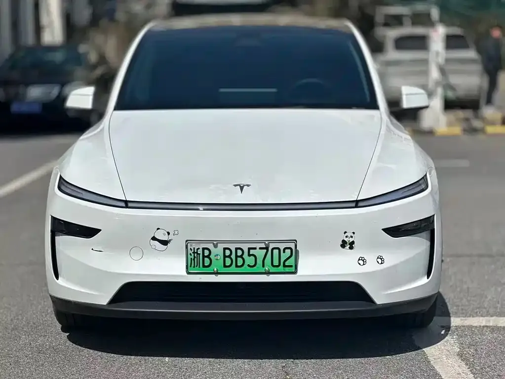 Tesla Model Y — фото 6