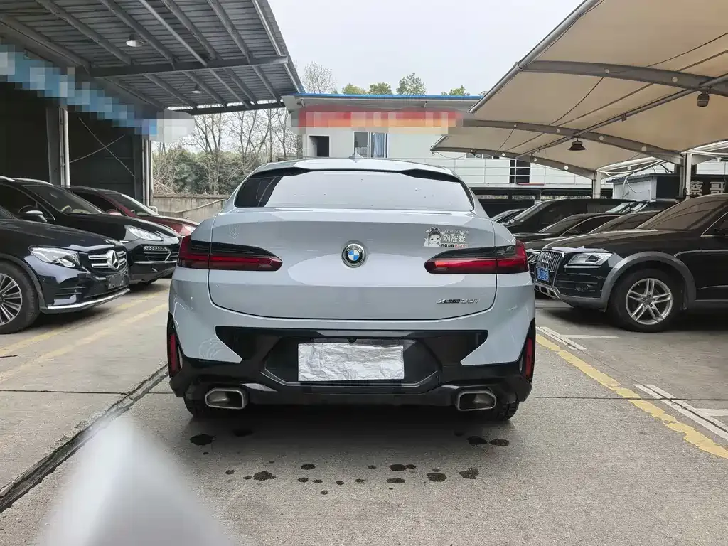 BMW X4 2023 из CN, фото 10