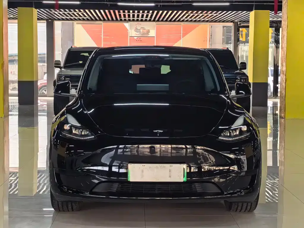 Tesla Model Y — фото 9
