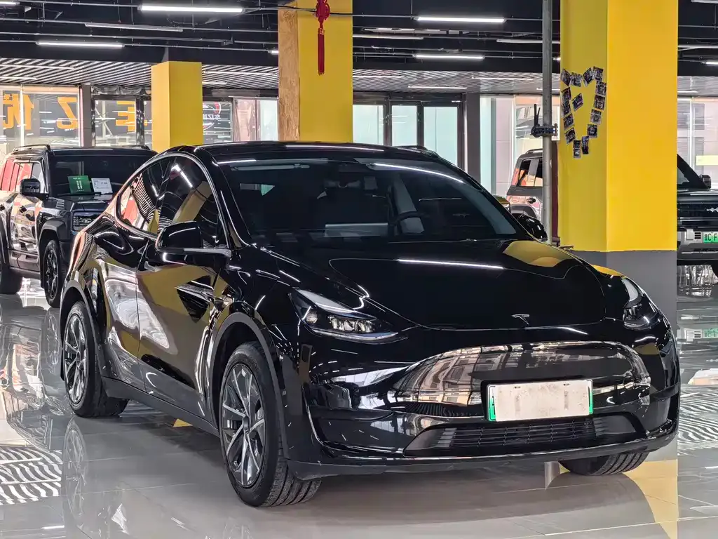 Tesla Model Y — фото 6