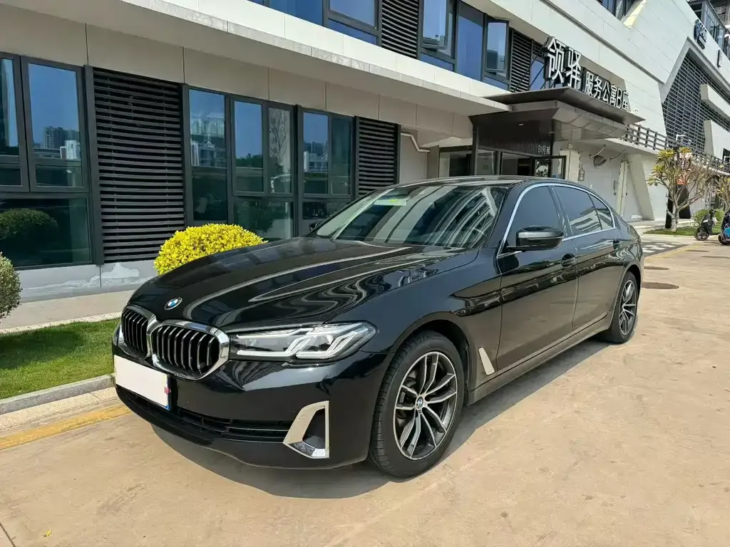BMW 5 Series 2021 из CN, фото 1