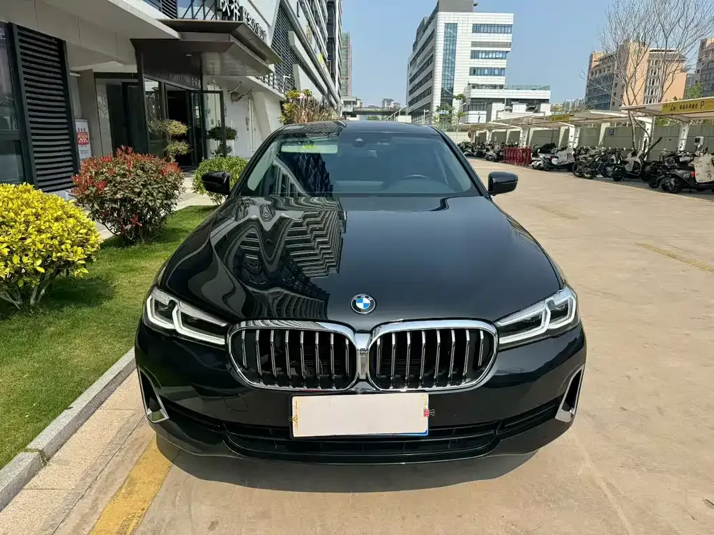 BMW 5 Series 2021 из CN, фото 7