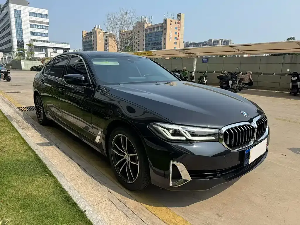 BMW 5 Series 2021 из CN, фото 5