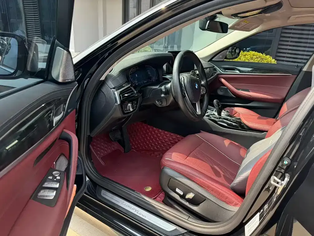 BMW 5 Series 2021 из CN, фото 8