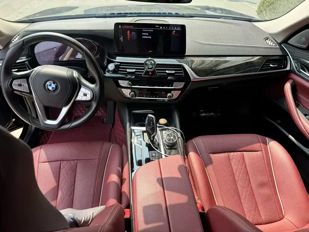 BMW 5 Series 2021 из CN, фото 6