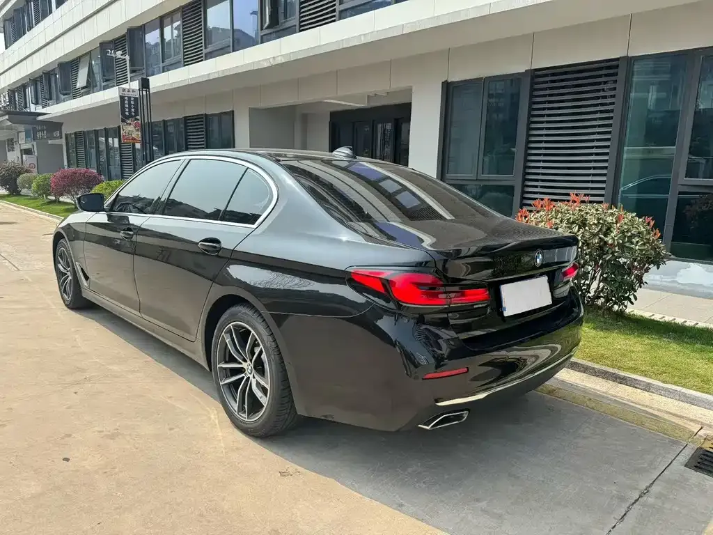 BMW 5 Series 2021 из CN, фото 4