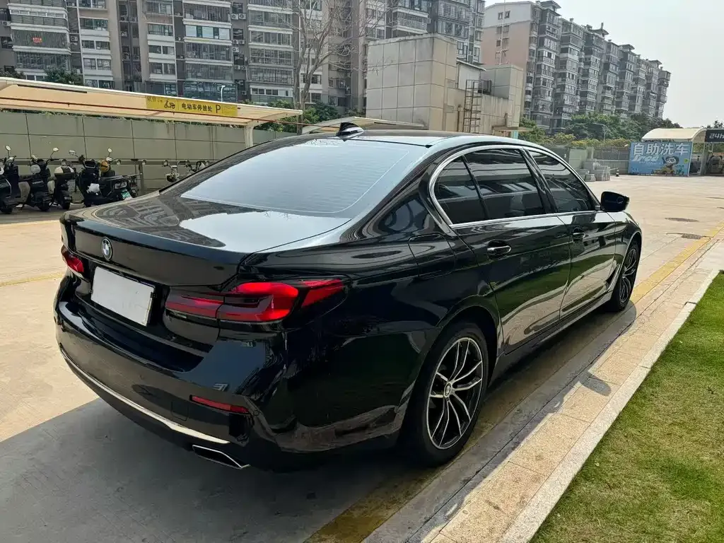 BMW 5 Series 2021 из CN, фото 9
