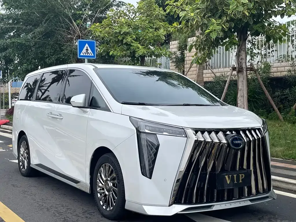 GAC Motor Trumpchi M8 2023 из CN, фото 9