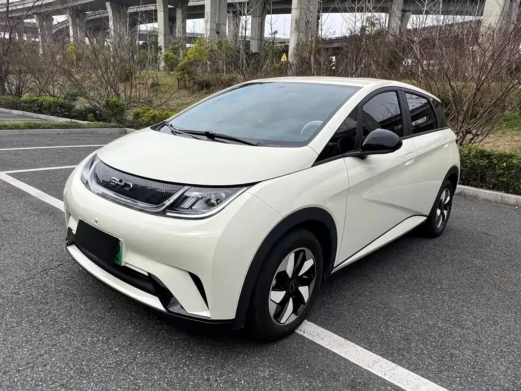 BYD Dolphin 2025 из CN, фото 1