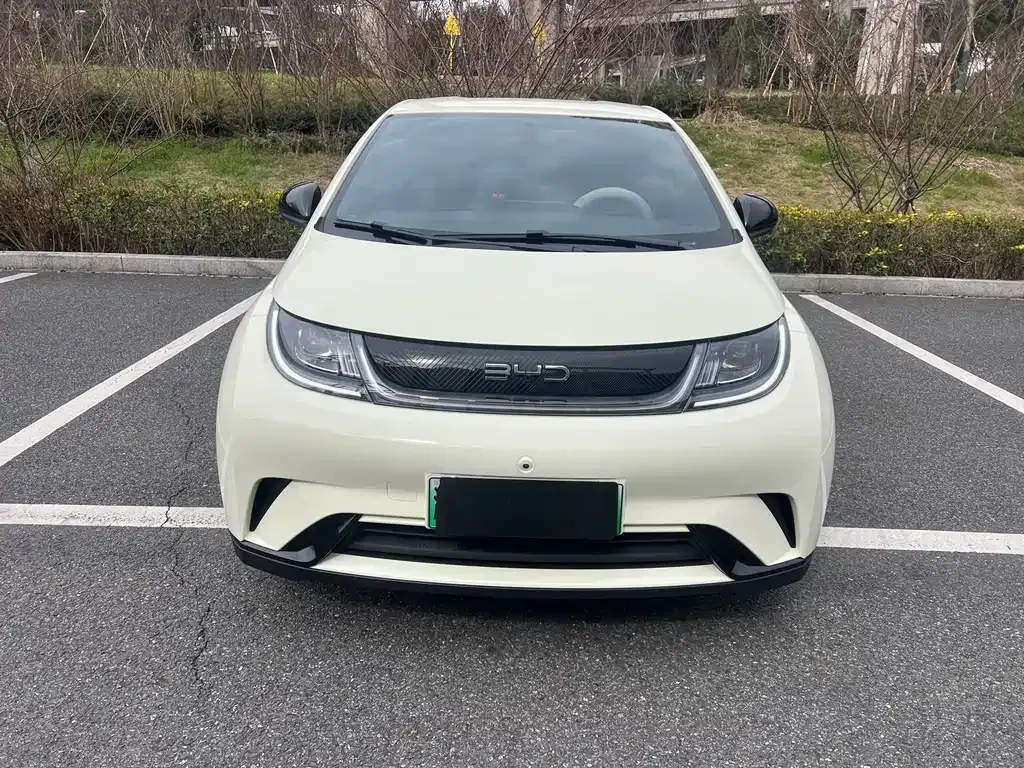 BYD Dolphin 2025 из CN, фото 6