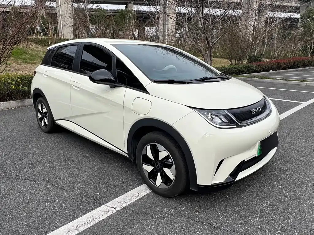 BYD Dolphin 2025 из CN, фото 9