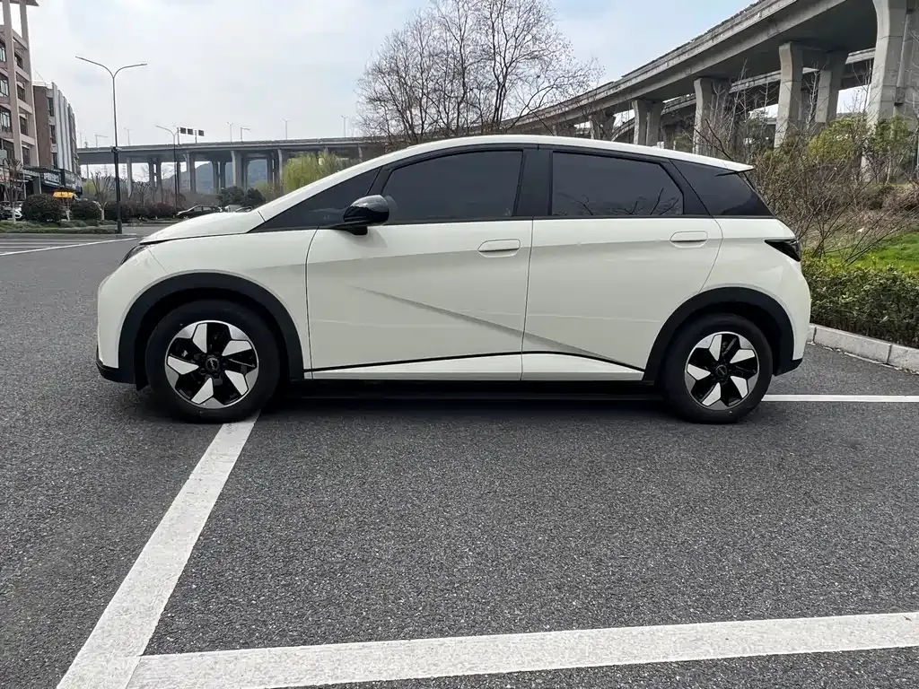 BYD Dolphin 2025 из CN, фото 5