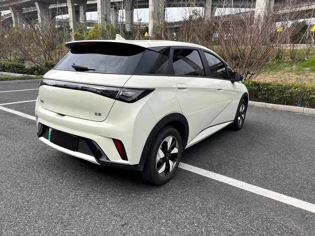 BYD Dolphin 2025 из CN, фото 8