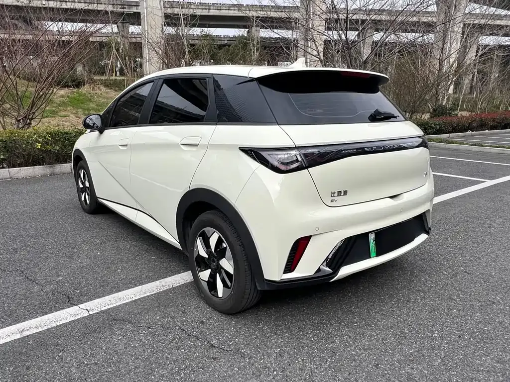 BYD Dolphin 2025 из CN, фото 7