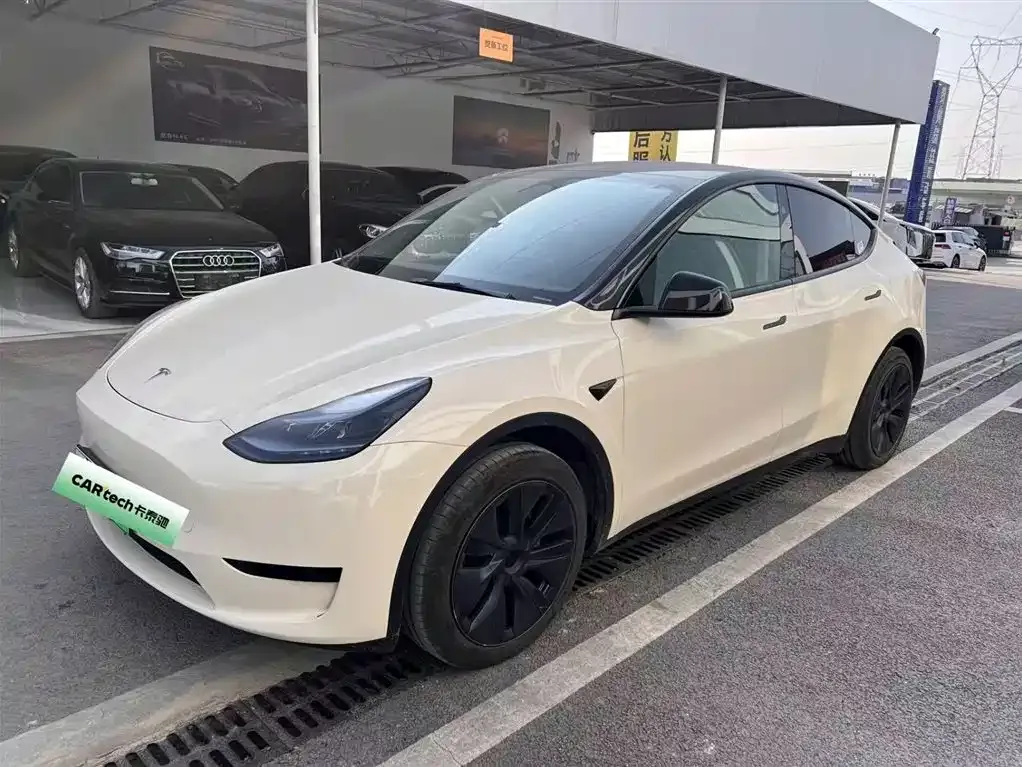 Tesla Model Y — фото 1