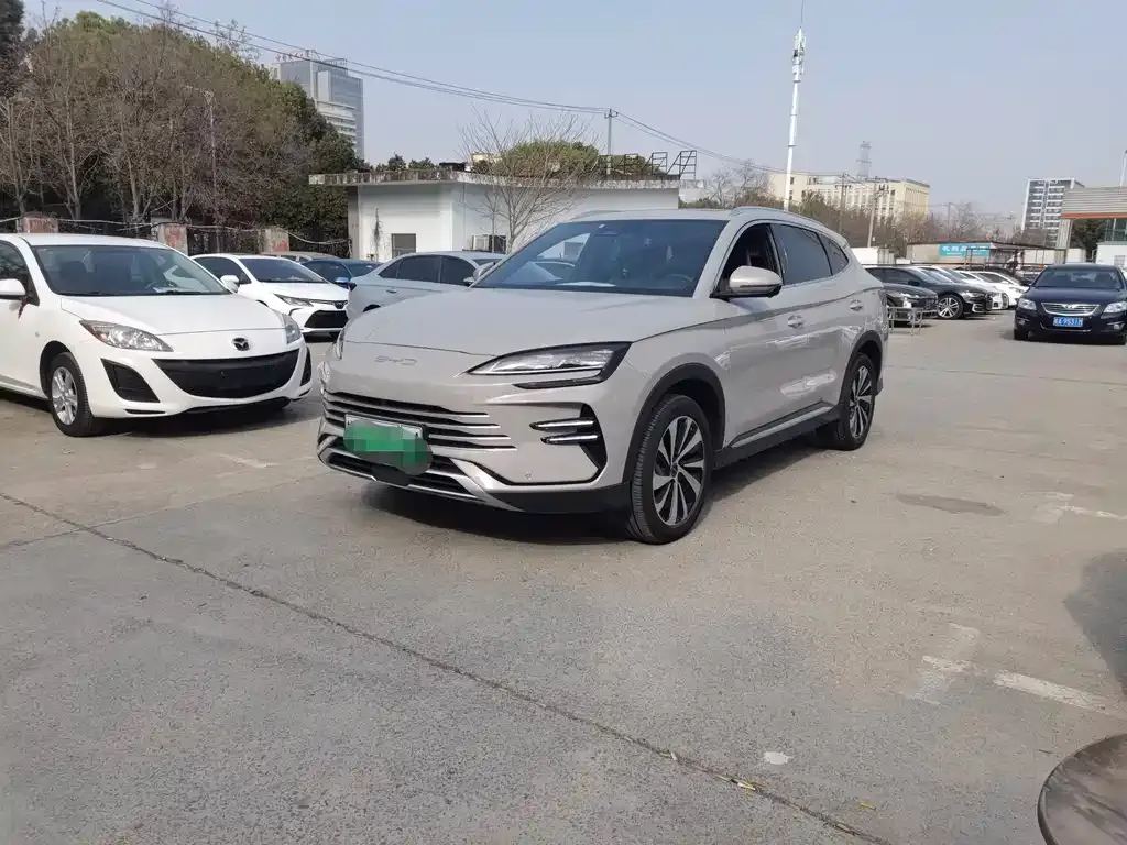 BYD PLUS New Energy — фото 1
