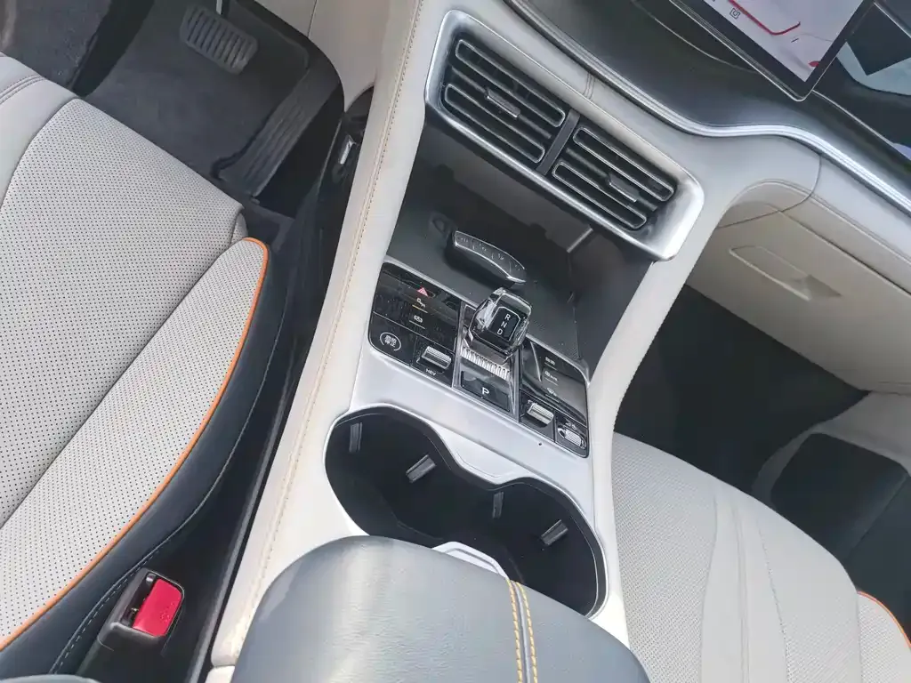 BYD PLUS New Energy — фото 10