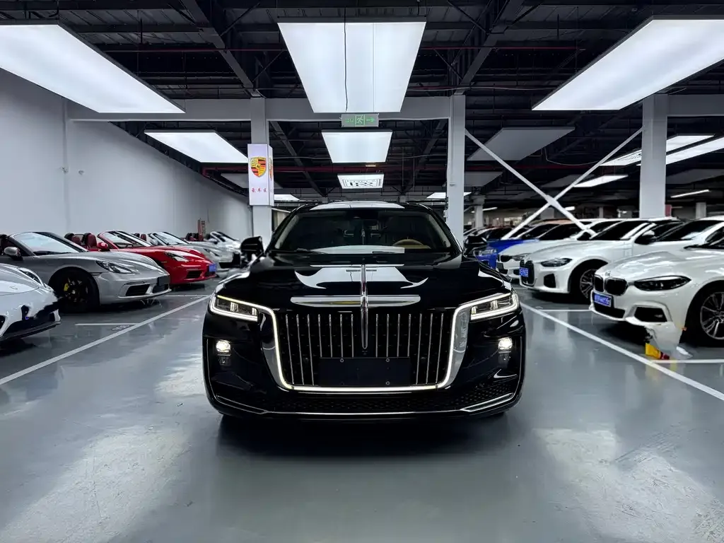 Hongqi H9 2021 из CN, фото 6