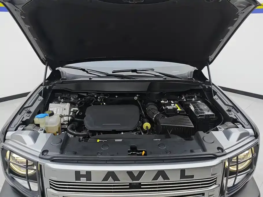 Haval Big Dog — фото 10