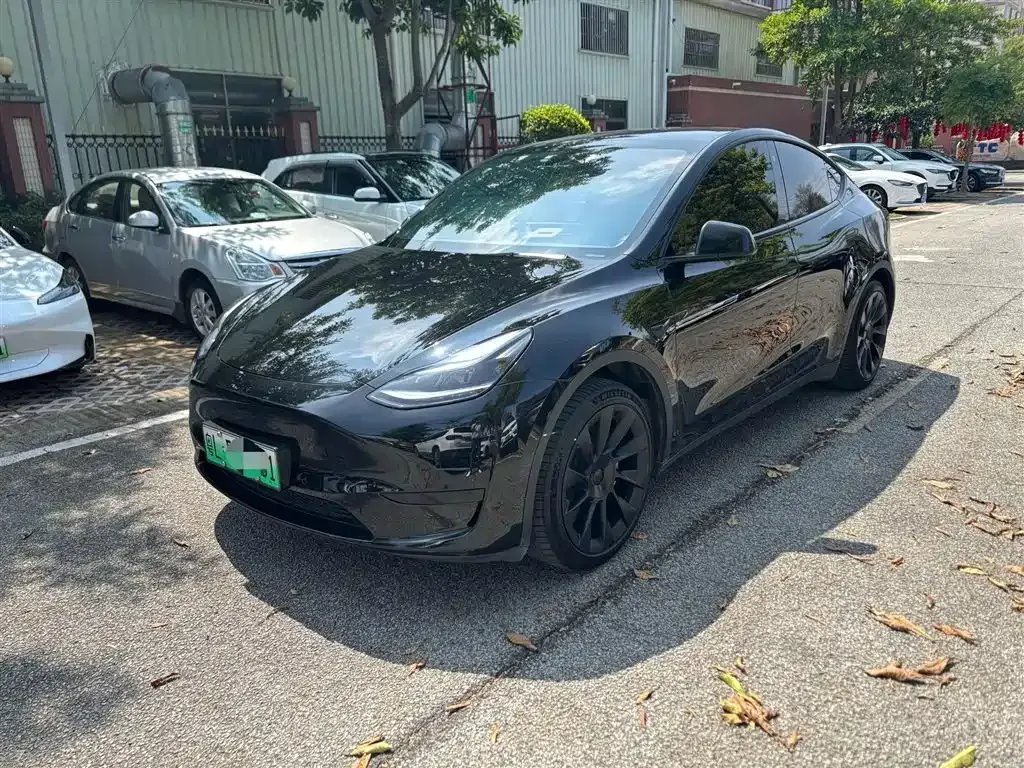 Tesla Model Y — фото 1