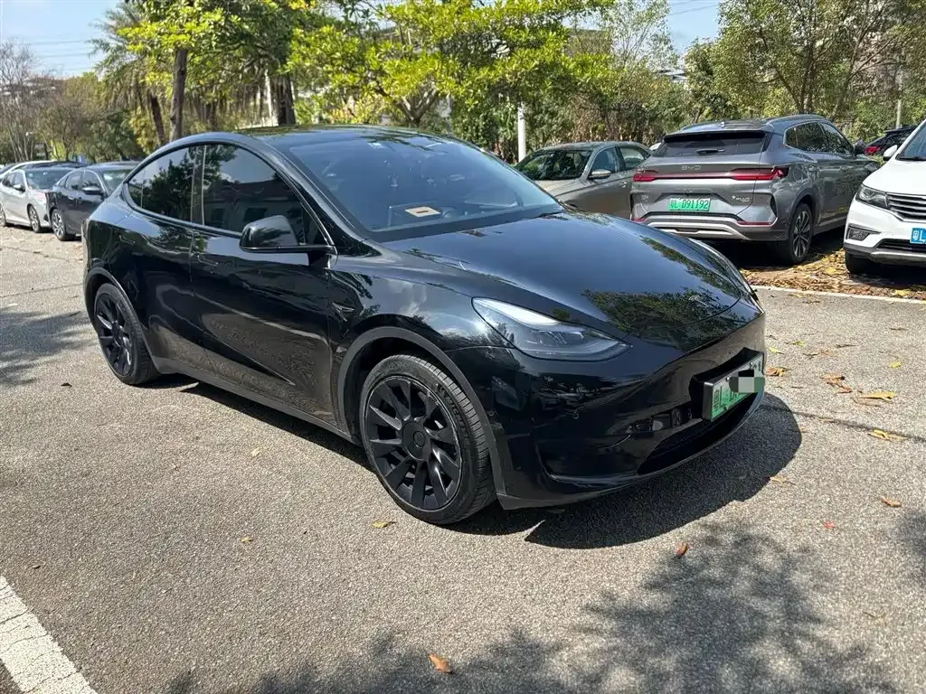 Tesla Model Y — фото 10