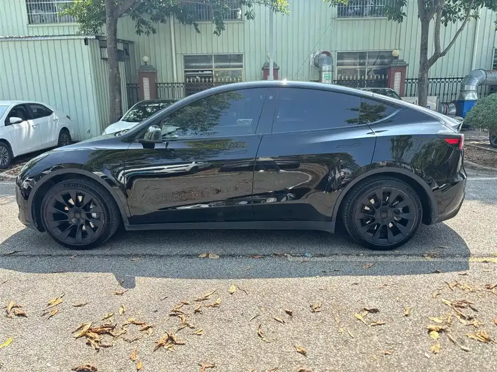 Tesla Model Y — фото 9