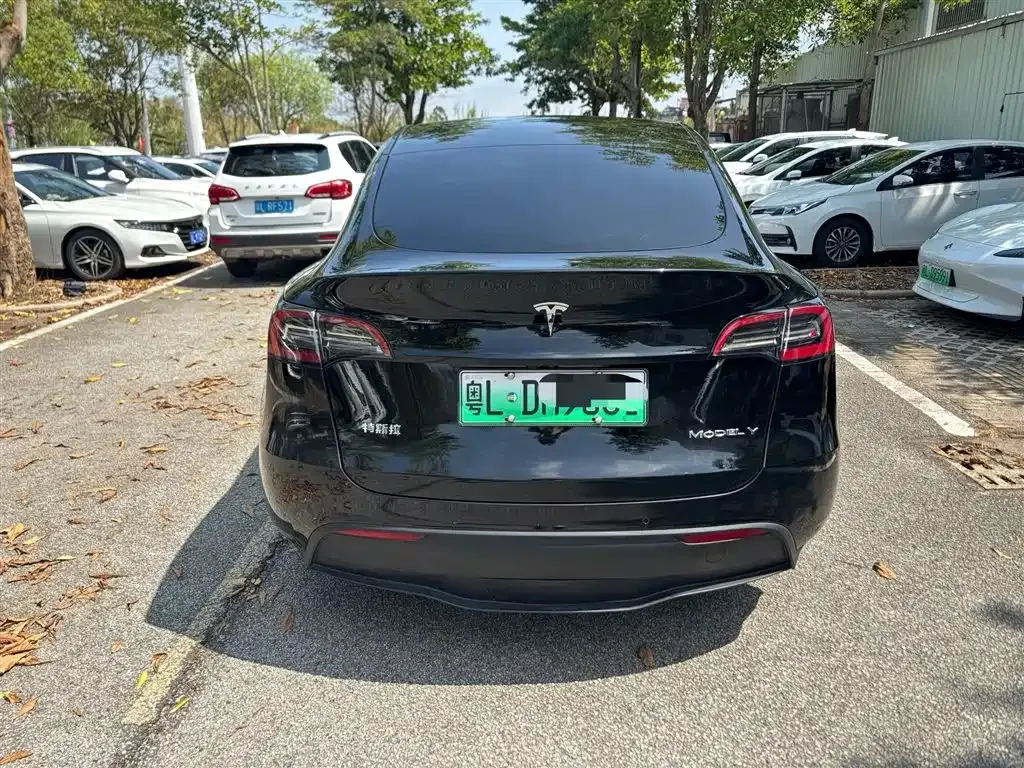 Tesla Model Y — фото 6