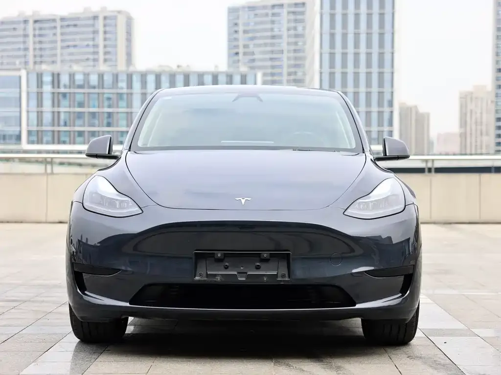 Tesla Model Y — фото 5