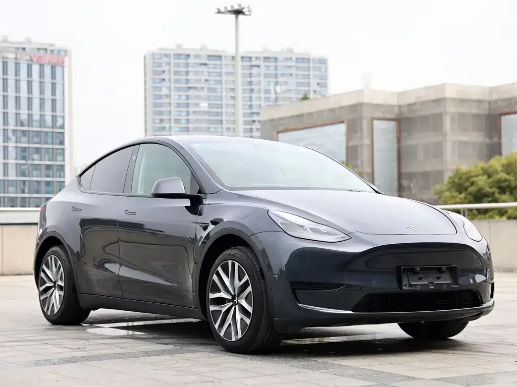 Tesla Model Y — фото 6