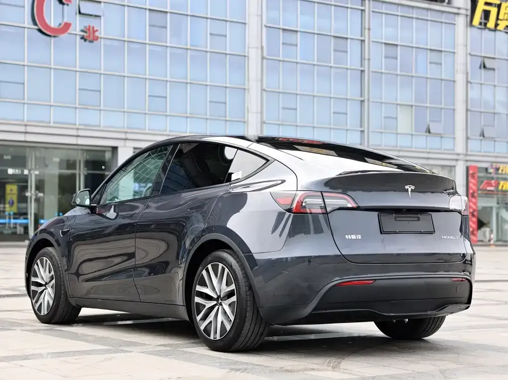 Tesla Model Y — фото 10