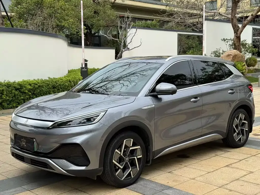 BYD Yuan Plus 2023 из CN, фото 1