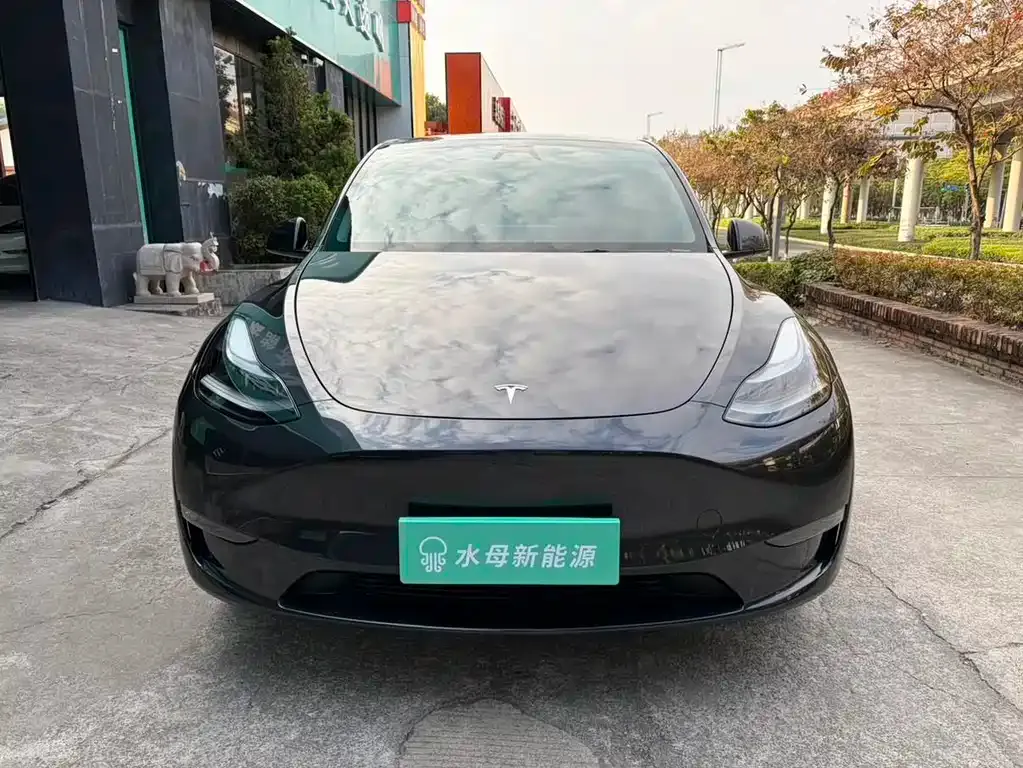 Tesla Model Y — фото 3