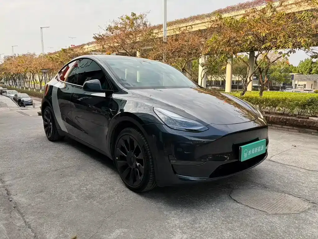 Tesla Model Y — фото 9