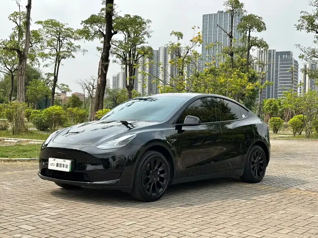 Tesla Model Y — фото 1