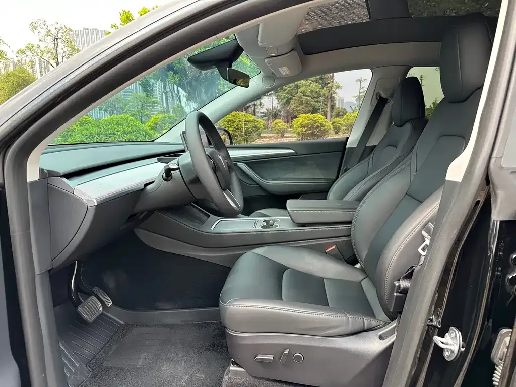 Tesla Model Y — фото 2