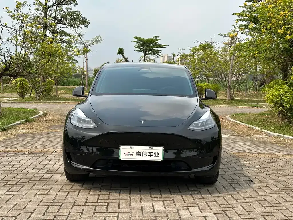 Tesla Model Y — фото 3