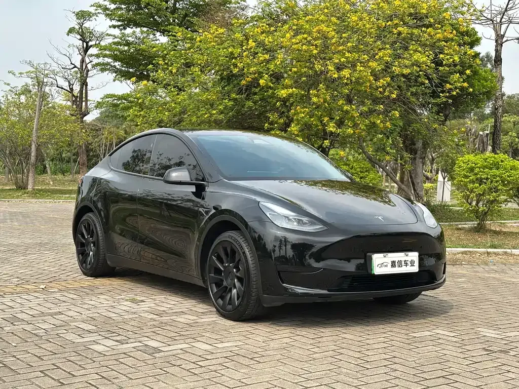 Tesla Model Y — фото 7